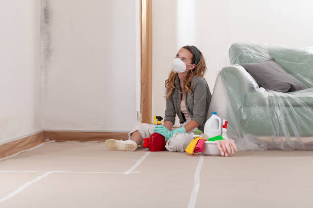 Reliable Commercial Mold Remediation contractor in Grawn, MI by WQB Mold Removal